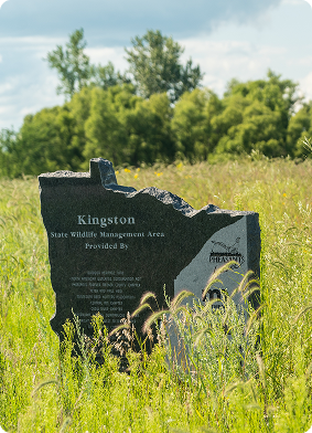 Home Programs Permanent Protection