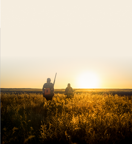 footer-pf-mobile-background